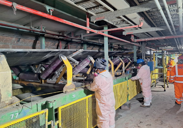Servicio Técnico de Pesaje Dinámico